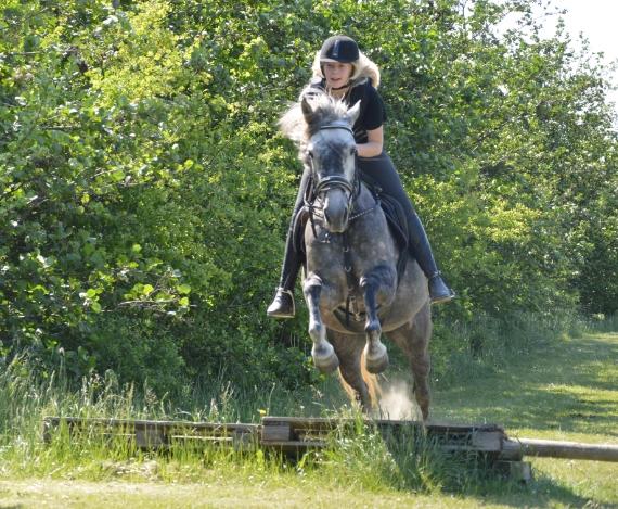 Anden særlig race Antares billede 5