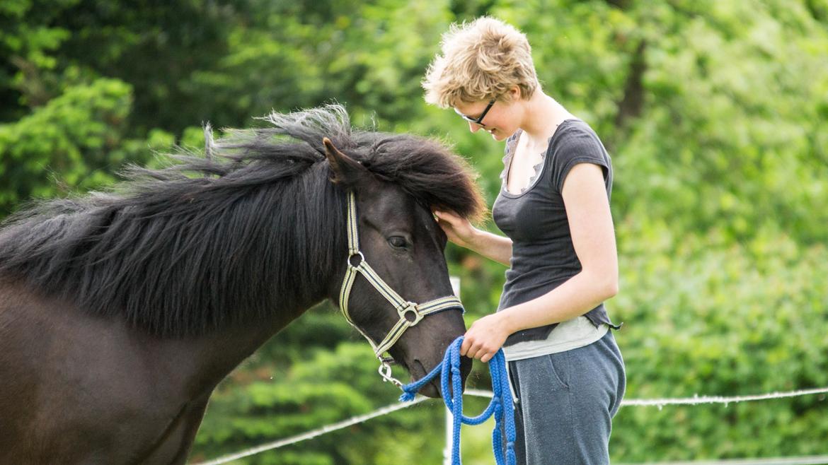 Islænder Flóra - At mødes <3 Foto: Rebecca 31.05.16 billede 8
