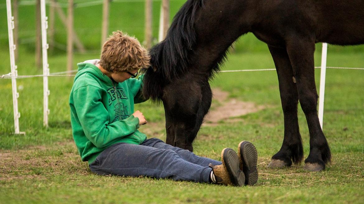 Islænder Flóra - En voksende tillid til hinanden... <3 Foto: Rebecca 01.06.16 billede 7