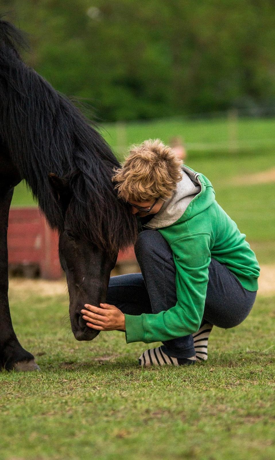 Islænder Flóra - Min pige <3 Foto: Rebecca 01.06.16 billede 3
