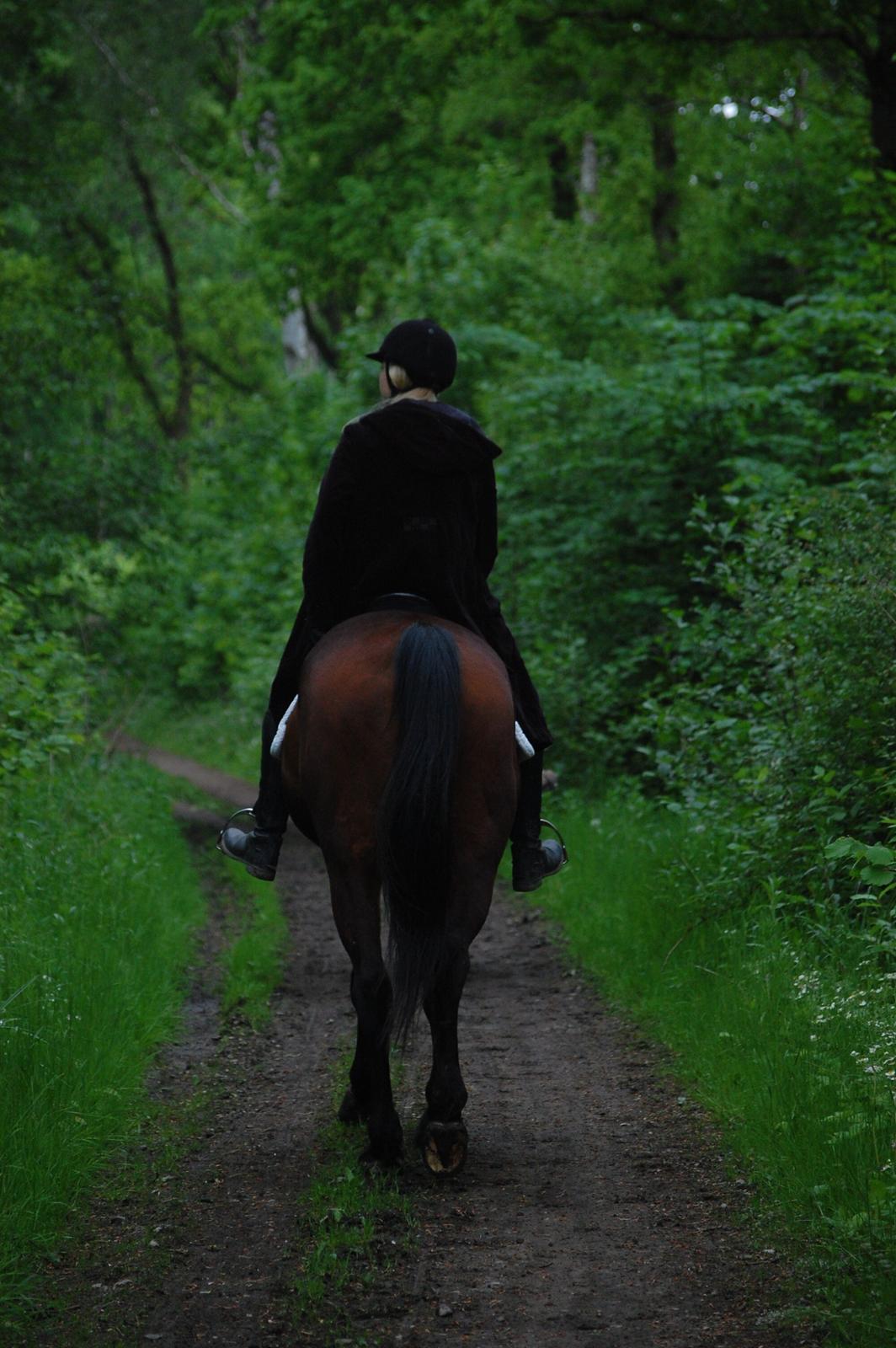 Traver Join Ecoflow - Mystisk fotoshoot :d maj 2016 billede 10