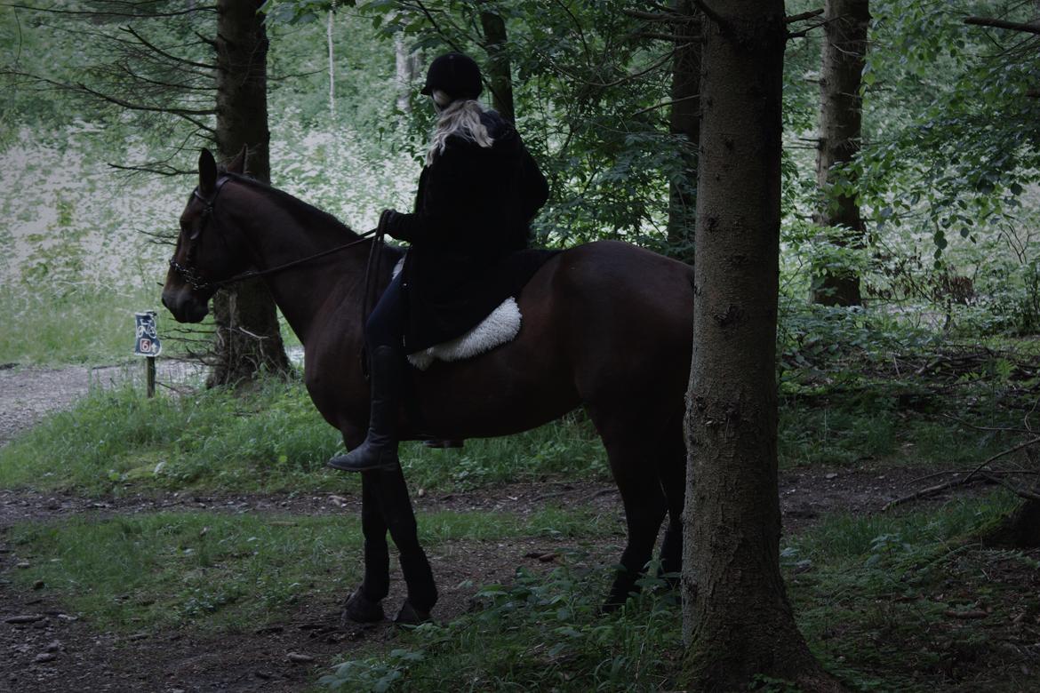 Traver Join Ecoflow - Med lammeskind :o maj 2016 billede 11