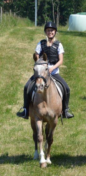 Anden særlig race Placira, Knabstupper blanding billede 4