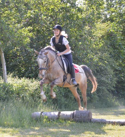 Anden særlig race Placira, Knabstupper blanding billede 7