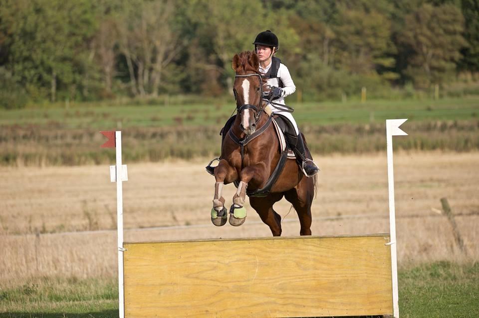 Anden særlig race Flike - Stævne på Søborgård, september 2015 billede 4