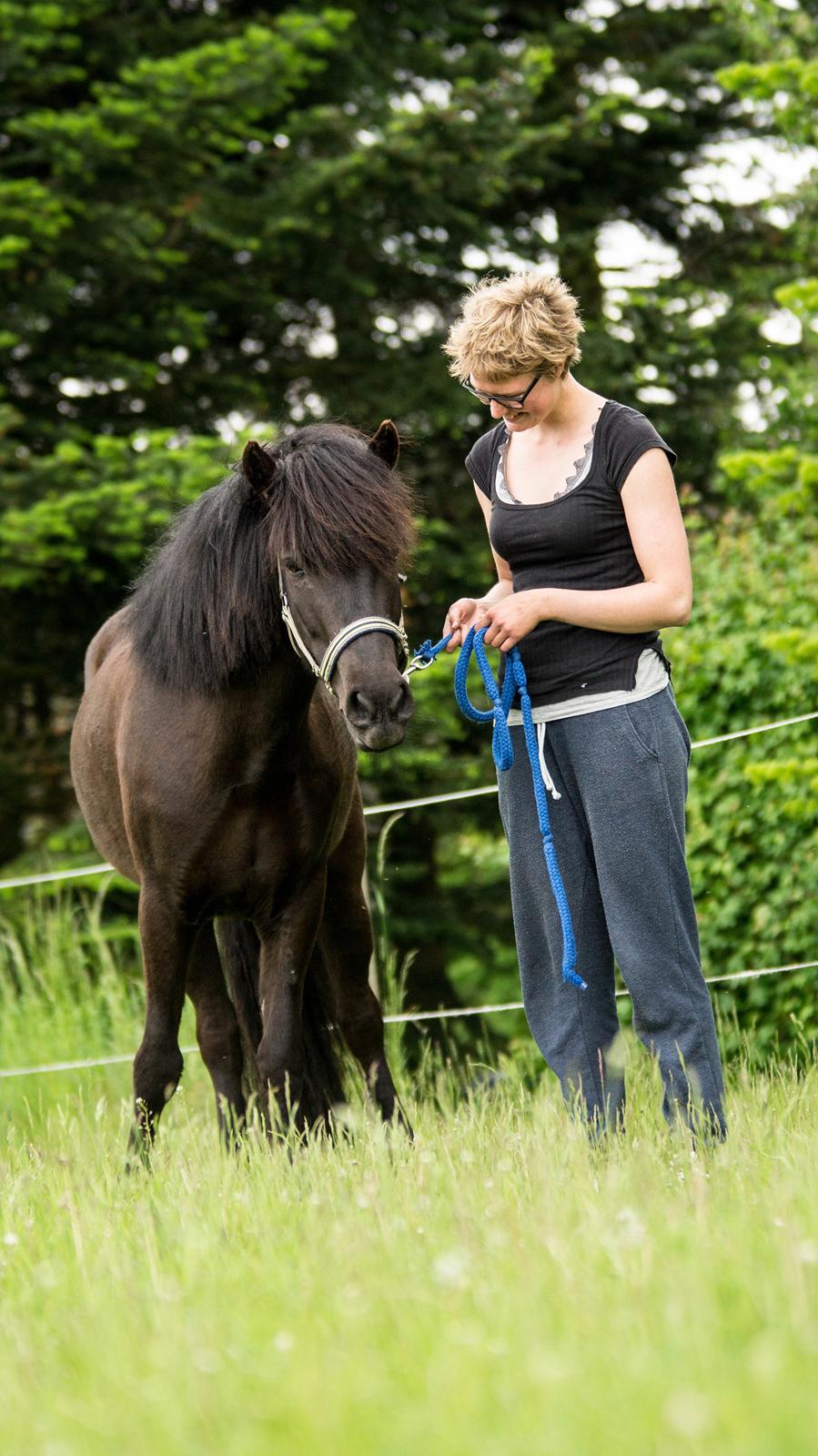 Islænder Flóra - <3 Foto: Rebecca 31.05.16 billede 13