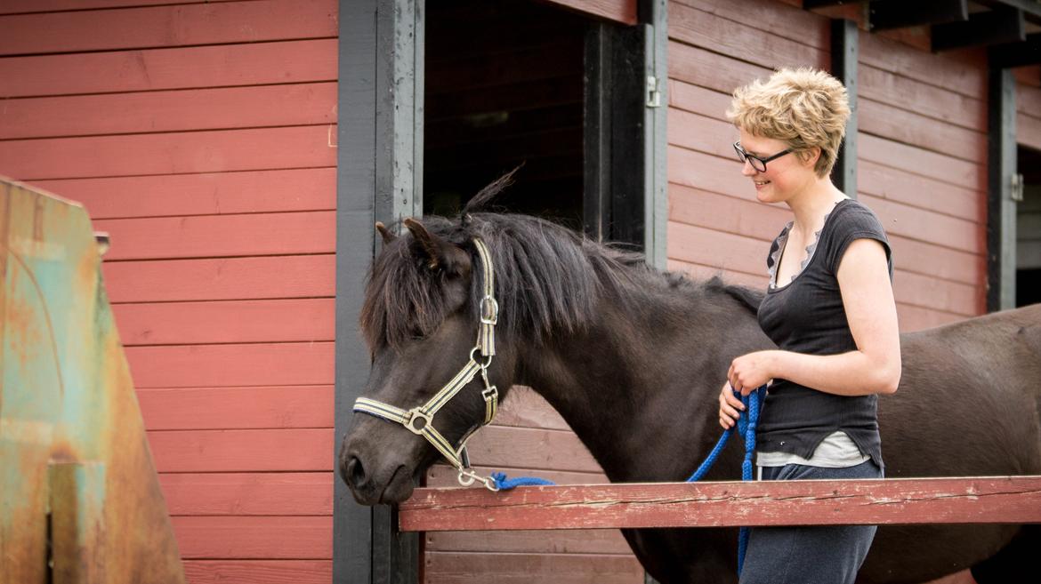 Islænder Flóra - <3 Foto: Rebecca 31.05.16 billede 14