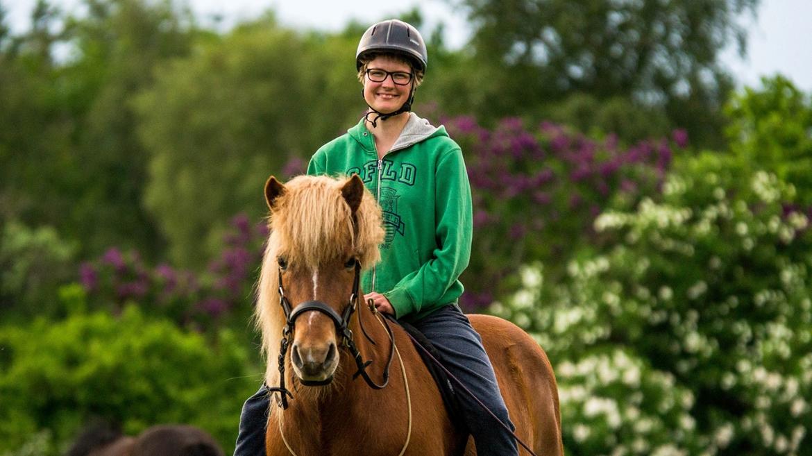 Islænder Trausti fra Gingsholm<3 - Blomster-hest <3 Foto: Rebecca 01.06.16 billede 8