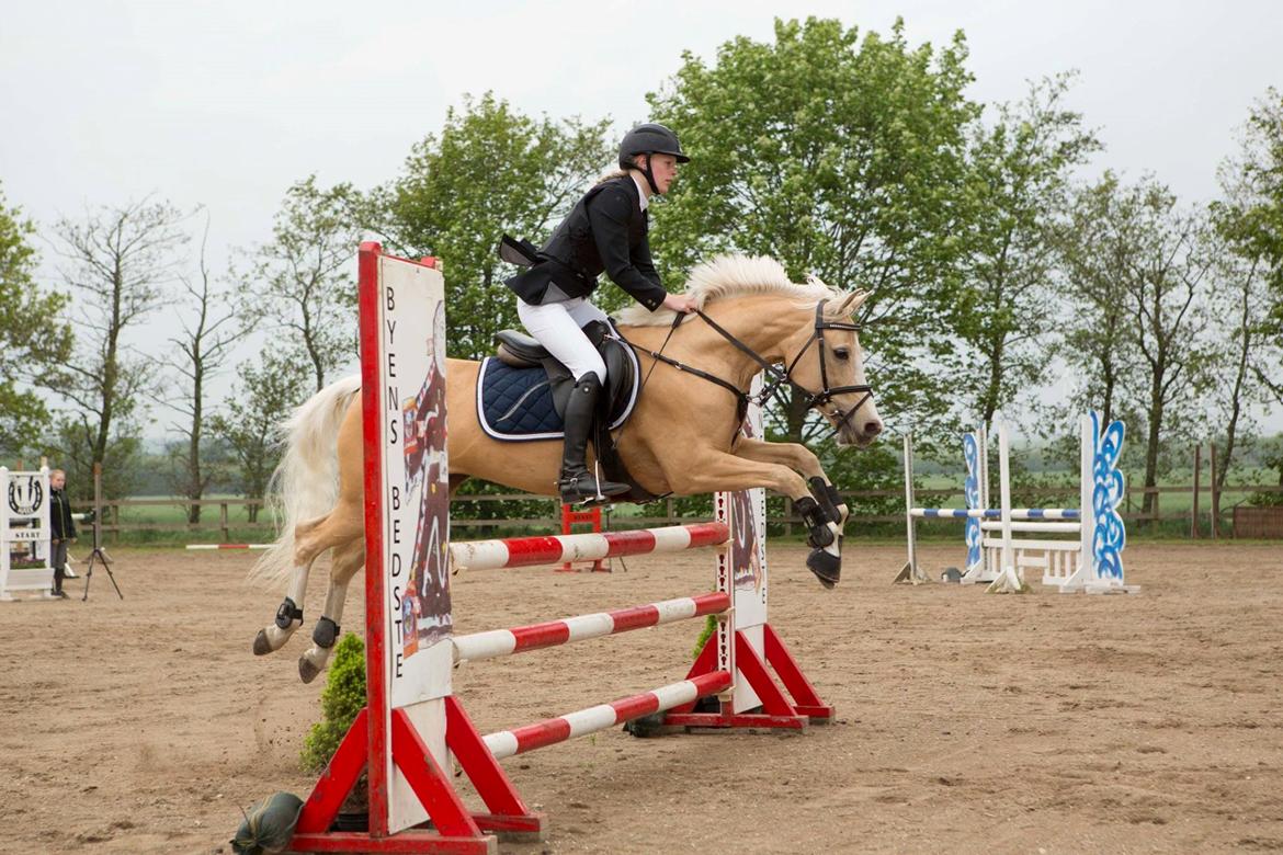 Anden særlig race FREDENS SHEER SILK billede 9