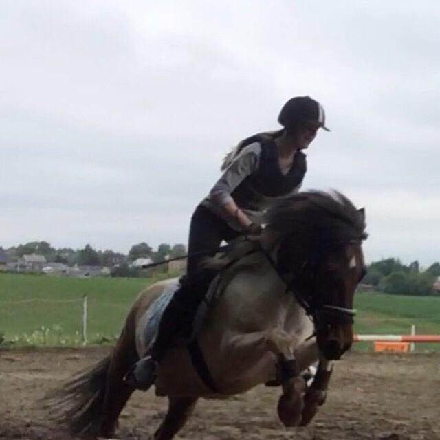 Islænder Aslan - hophop asse billede 12