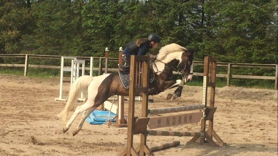 DSP Lady Ammador<3 - B-PONY - Første gang jeg sidder på hende<3 billede 19