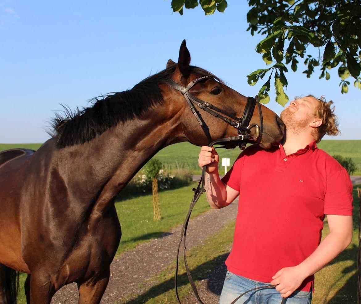 Trakehner Bella Notte - Min verden <3 billede 15