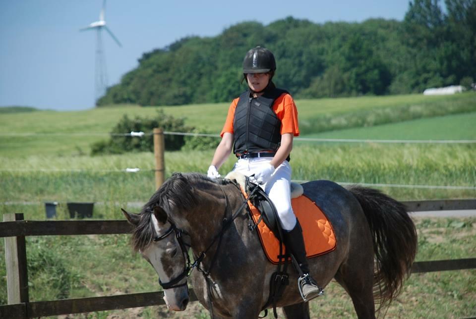 Anden særlig race Wild one billede 3