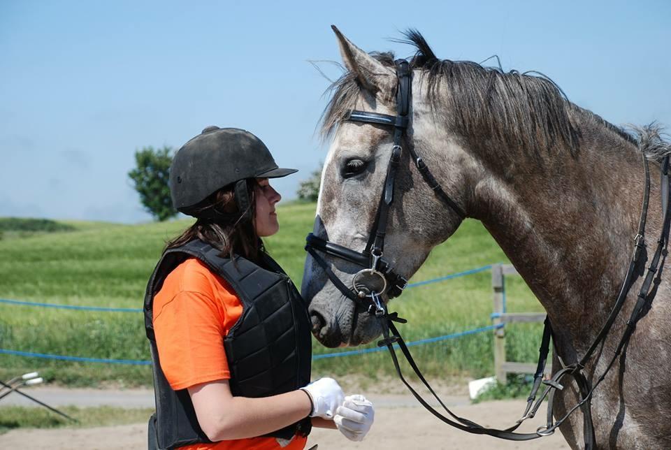 Anden særlig race Wild one billede 5