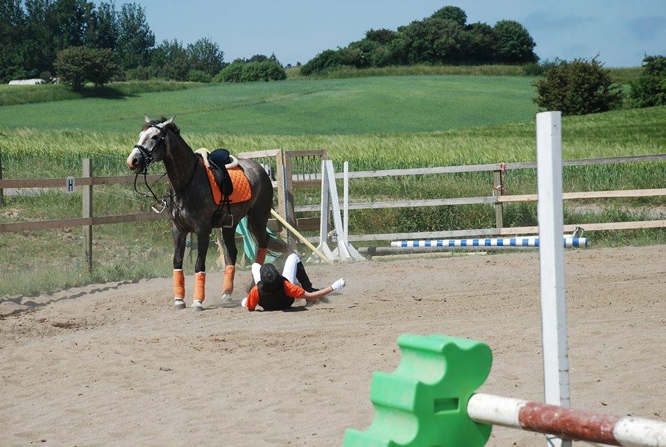 Anden særlig race Wild one billede 9