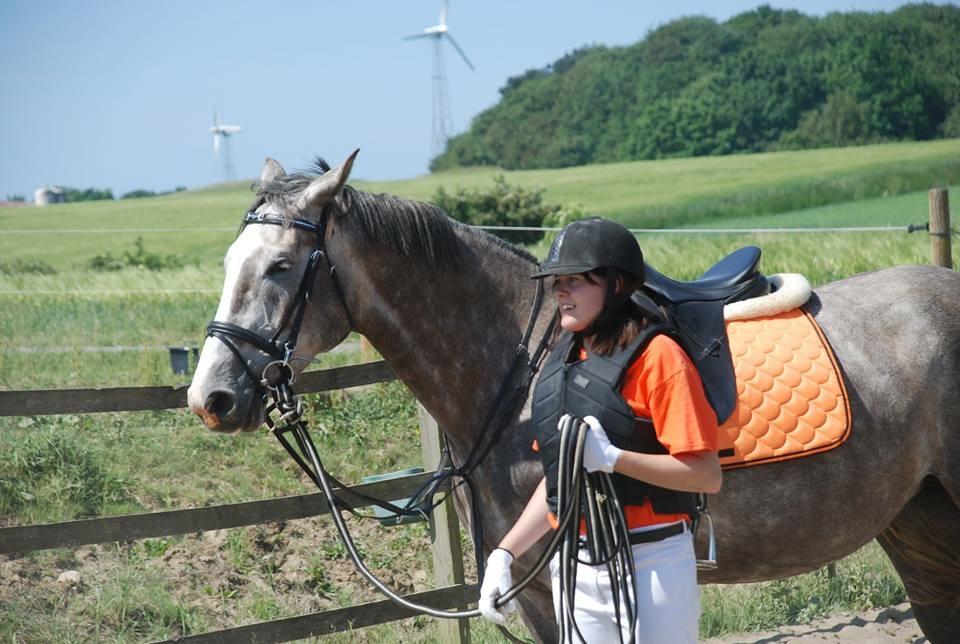 Anden særlig race Wild one billede 10