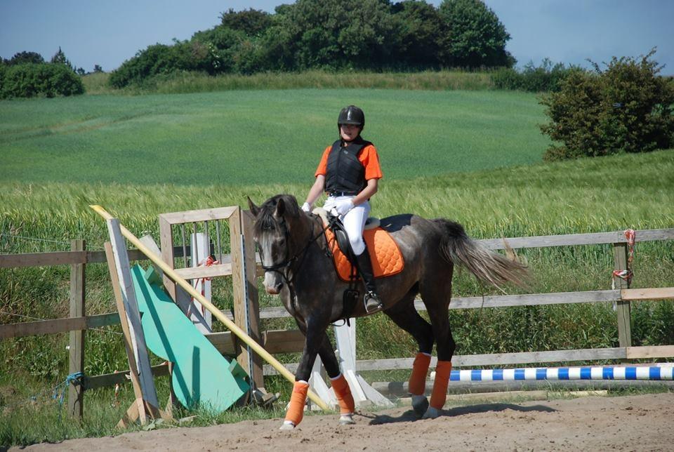 Anden særlig race Wild one billede 14