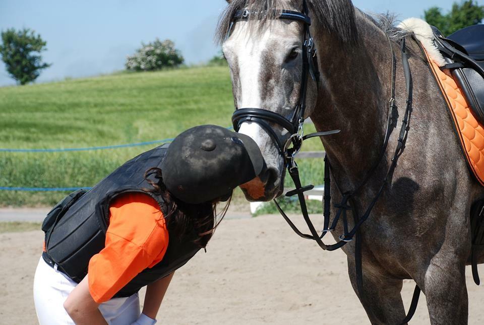 Anden særlig race Wild one billede 16
