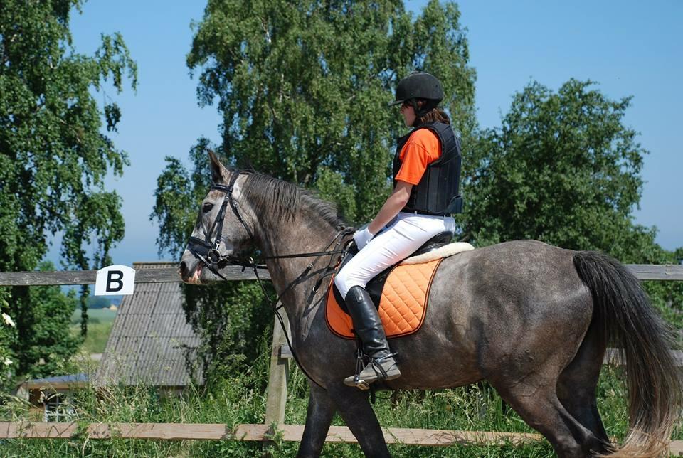 Anden særlig race Wild one billede 6