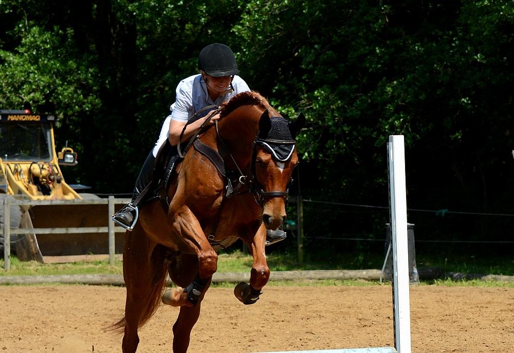 Arabisk fuldblod (OX) Flamme (SOLGT) - d. 5 Juni 2016 - Stævne Børkop Rideklub billede 33