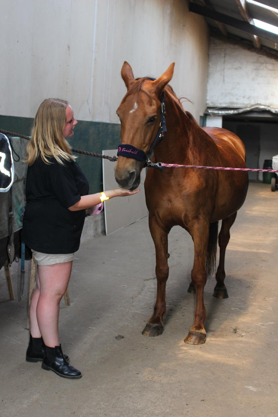 Anden særlig race Mulle - Da hun lige var kommet hjem billede 17