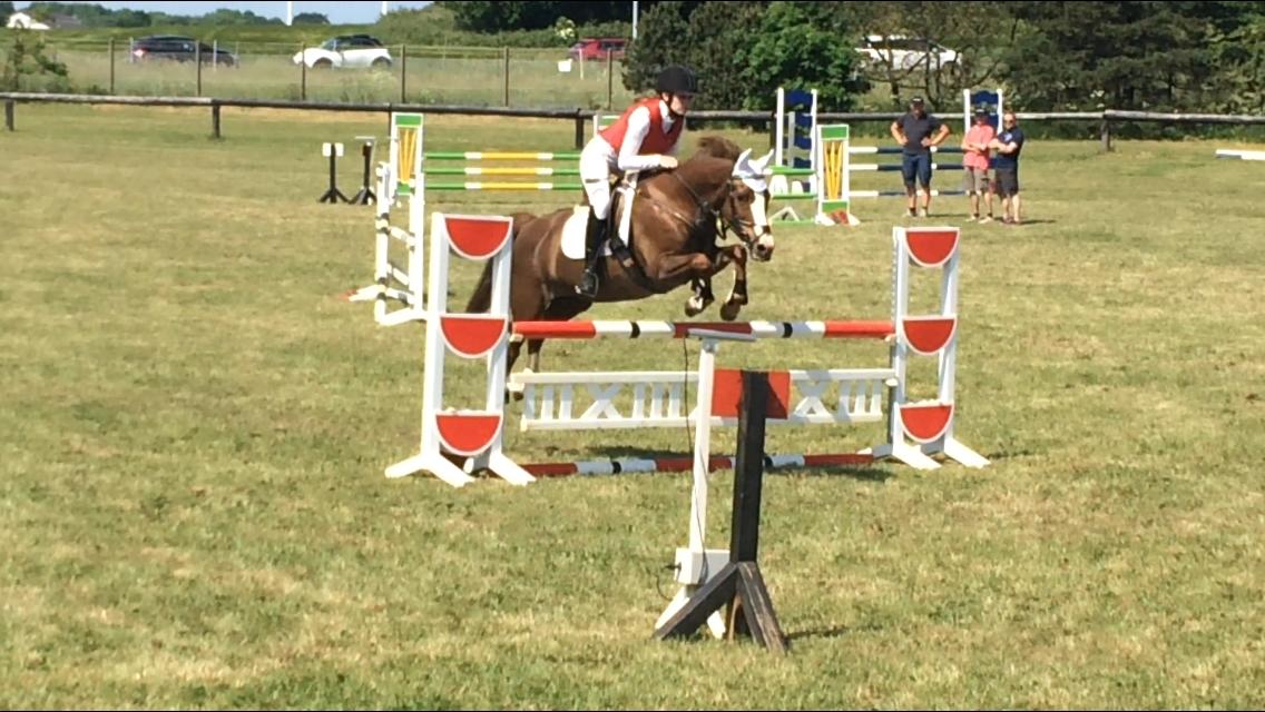 Anden særlig race Hanna Montana billede 17