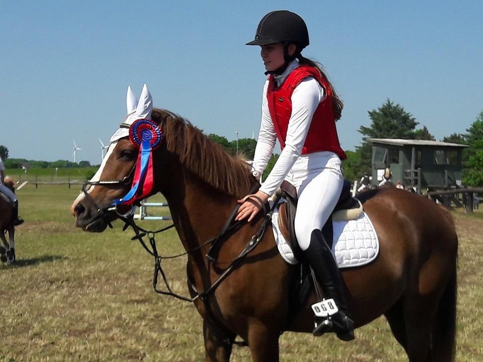 Anden særlig race Hanna Montana billede 20