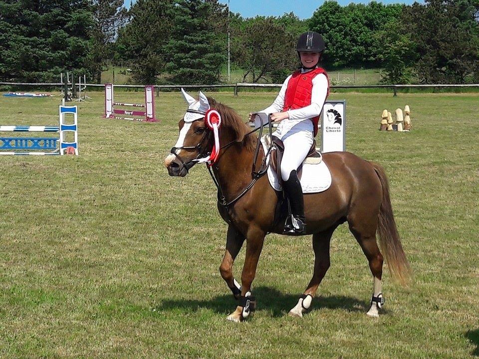 Anden særlig race Hanna Montana billede 18