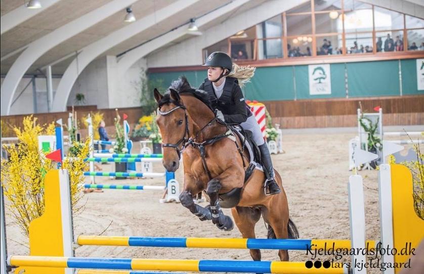 Holstener Søndervangs comet billede 7
