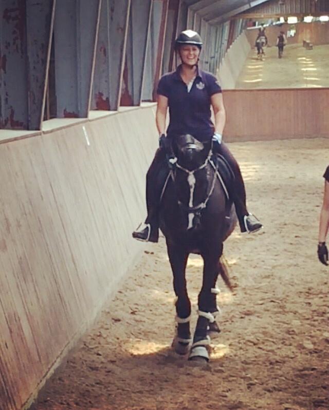 Trakehner Belle noir billede 17