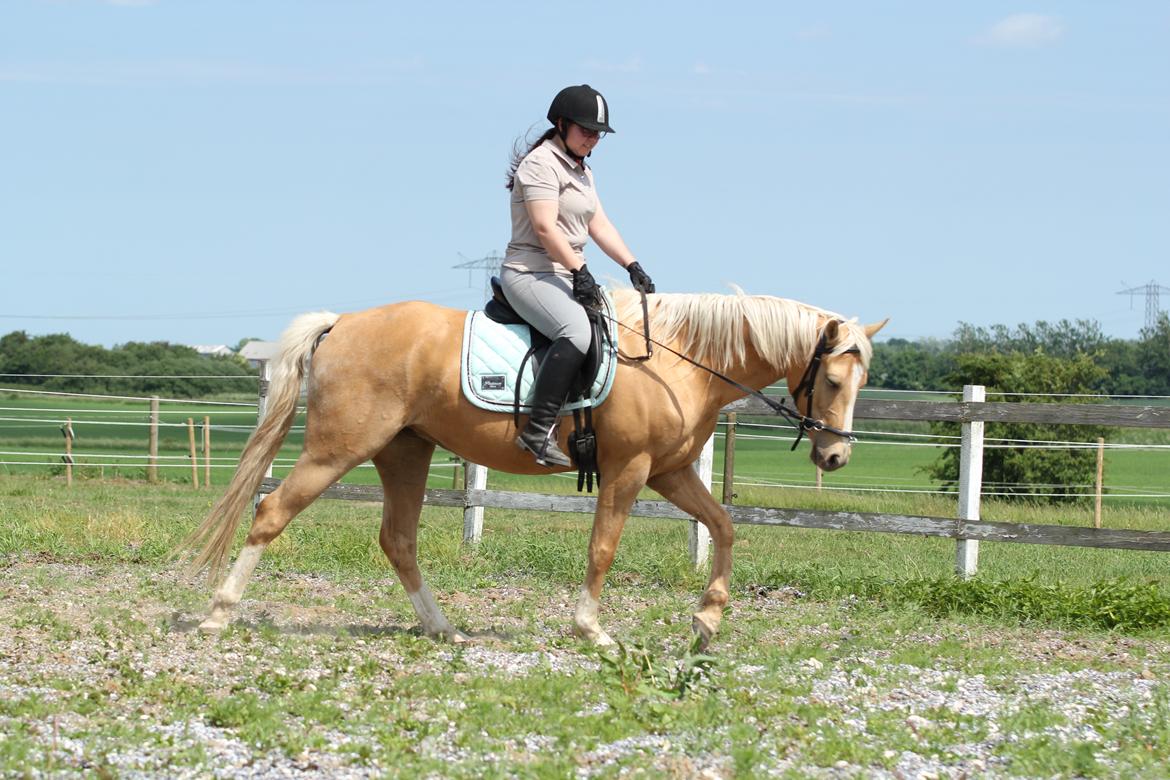 Palomino Kvolsbæk's Exclusive Enya - Smukke Enya i kapsun <3 billede 18