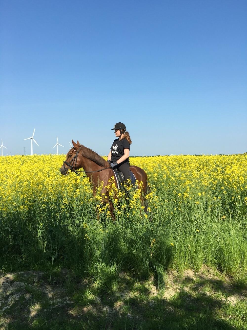 Anden særlig race Kirkely's Kida billede 5