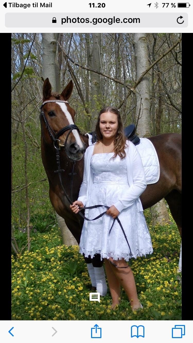 Anden særlig race Kirkely's Kida billede 9