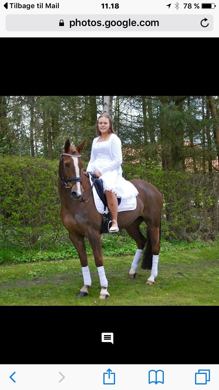 Anden særlig race Kirkely's Kida billede 10