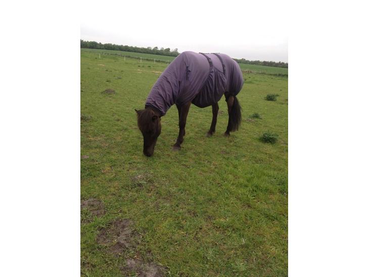 {{currentPhoto.altText}} billede {{currentPhoto.number}}