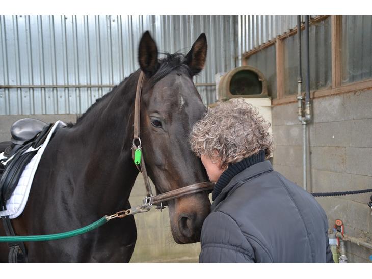 {{currentPhoto.altText}} billede {{currentPhoto.number}}