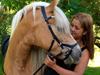 Haflinger Celina [Tidl. hest]