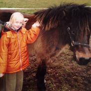 Anden særlig race Halskovgaards Peter