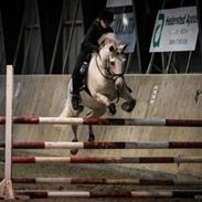 New Forest Egeballes Idol