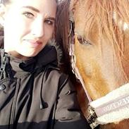 Anden særlig race Fiona