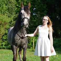 Anden særlig race Stald Nino's Look At Me 