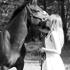 New Forest Skovens Micon 