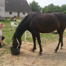 Anden særlig race Petite