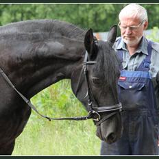 Frieser Miranda M.B.