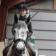 Anden særlig race Bjøslevgaards Santana