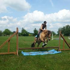 Anden særlig race Trolle