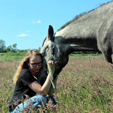Anden særlig race Stald Nino's Look At Me 