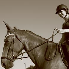 Anden særlig race Cindy