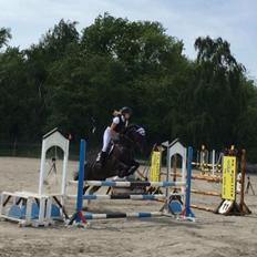 Anden særlig race Kamira