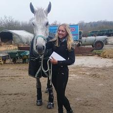 Anden særlig race Cæzar